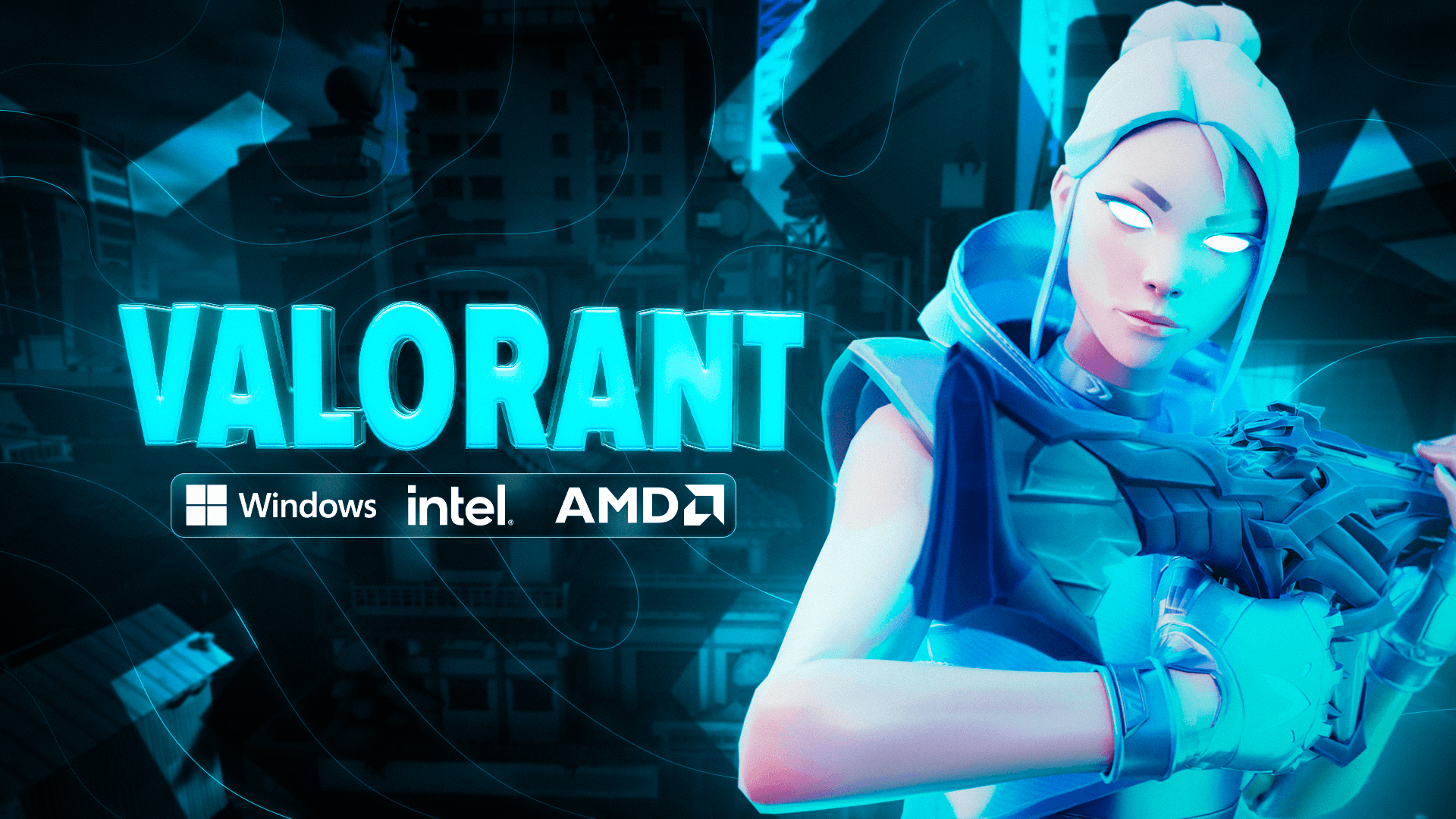 Valorant Cheat software box art